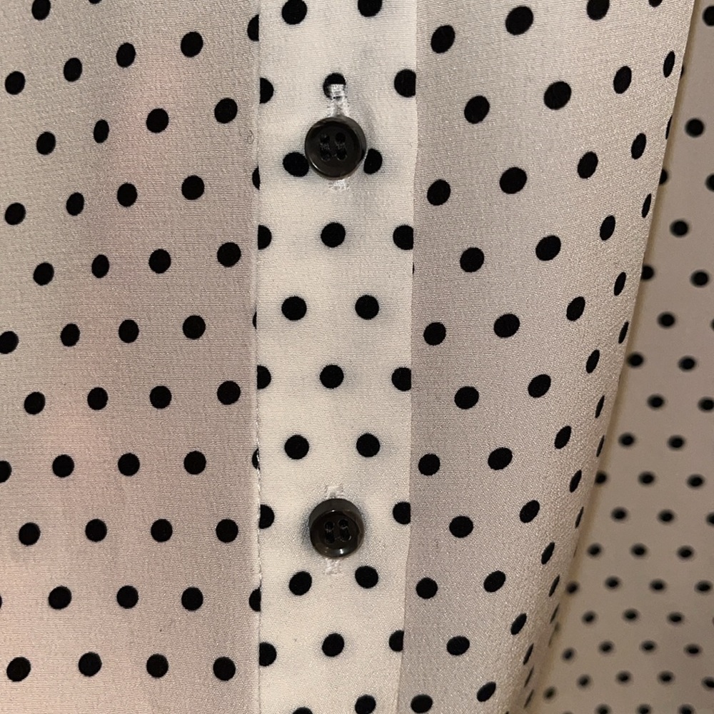 COPY - 🕊️ AYR - The Por Favor Bonita Dot Silk Blouse - XS GUC - Picture 6 of 14